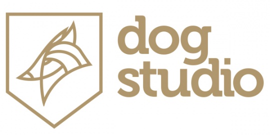 Logo Dogstudio — client ID Solution